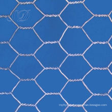 Gi Exporter Hexagonal Wire Mesh